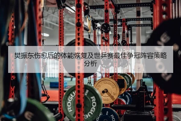 fan-zhen-dong-shang-yu-hou-de-ti-neng-hui-fu-ji-shi-ping-sai-zui-jia-zheng-guan-zhen-rong-ce-lve-fen-xi-2-465.jpg